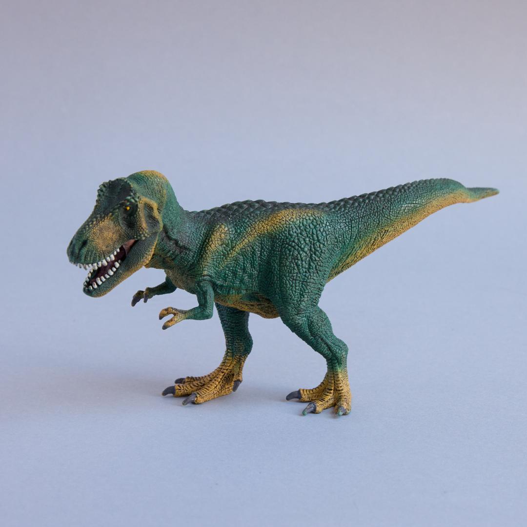 限定お買い得商品 Schleich シュライヒ 恐竜 フィギュア 6点まとめ売り 美品 その他