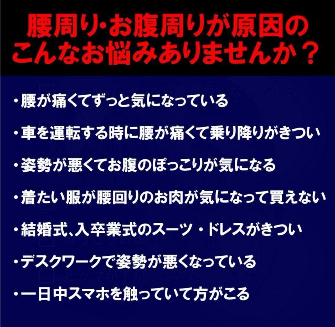 正規品整体院長監修腰サポーター コルセット サポートベルト 腰痛ガードナー