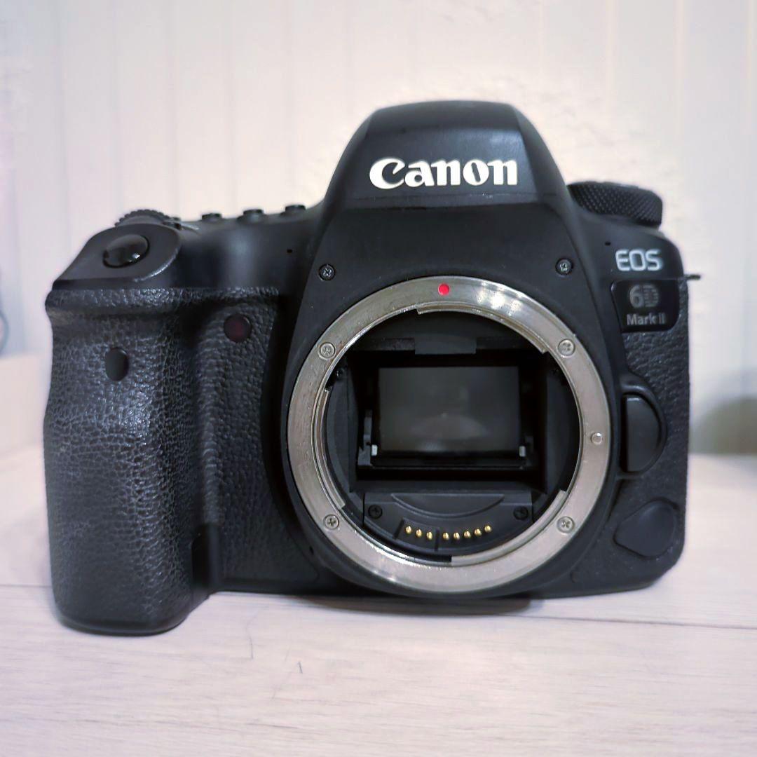 キヤノンCanon EOS 6D Mark II 標準&望遠 ダブルレンズセット