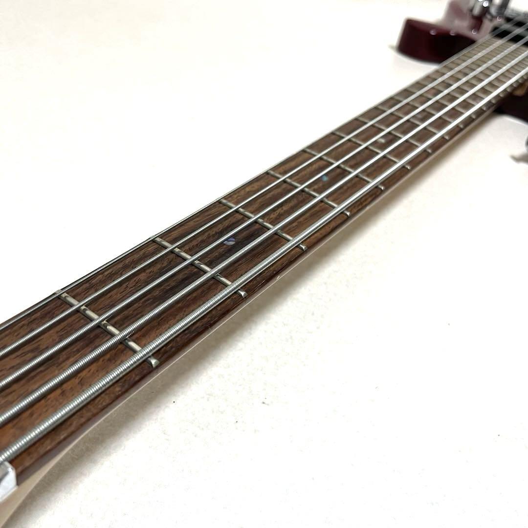 TRABEN ARRAY LIMITED 5 Spalted Red 5弦ベース