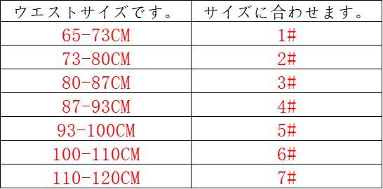 【極美品】CELINE 牛革です凱旋門でプリントベルトです2.5CM