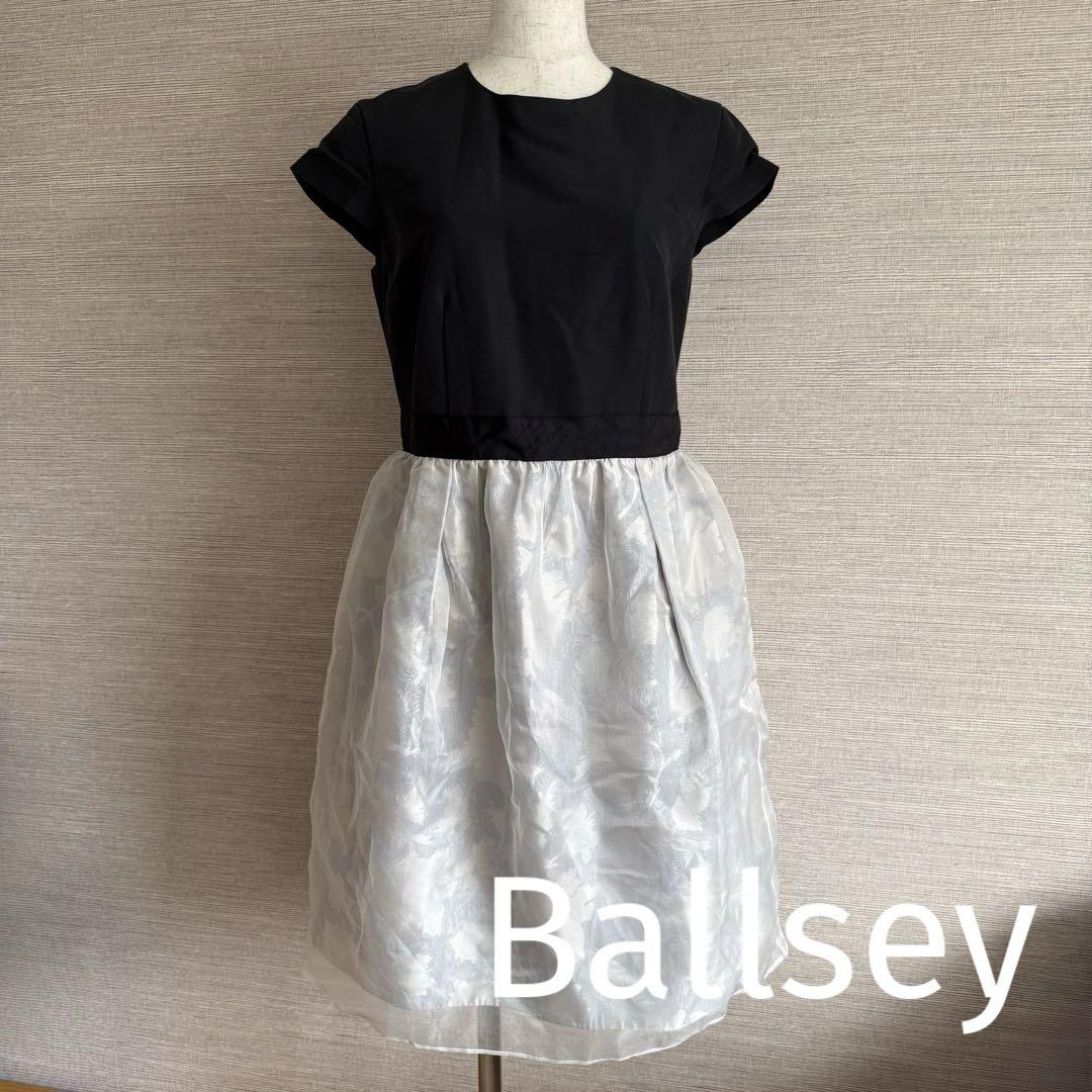 Ballsey tomorrow land ワンピース