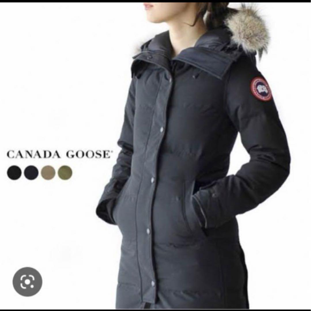 カナダグース　Canada goose