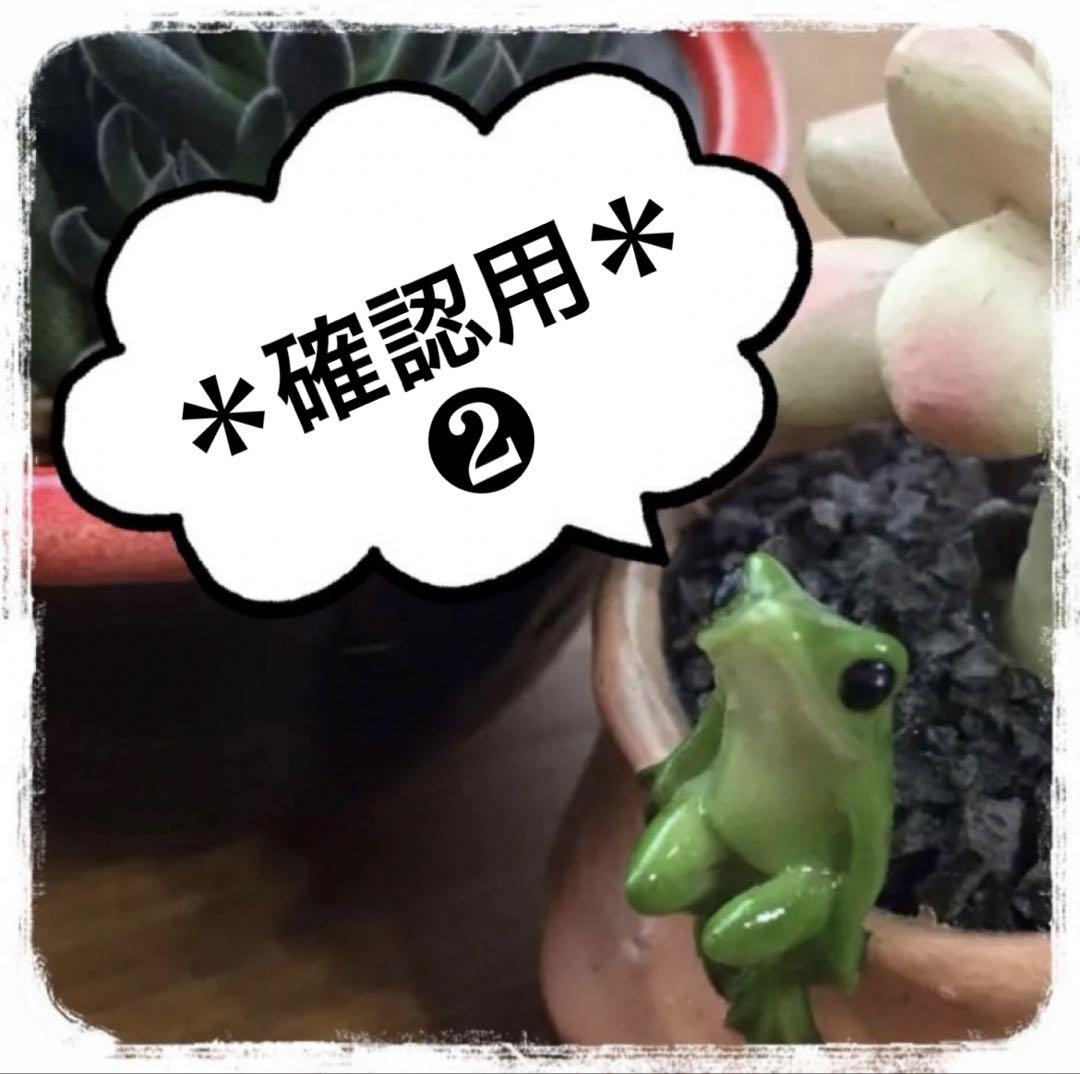 確認用2