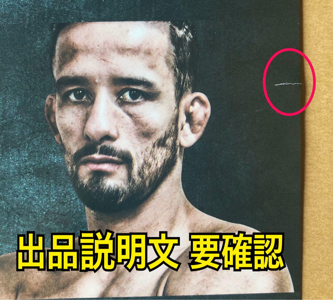 RIZIN26 吉成名高 直筆サイン入り 公式 B2ポスター - メルカリ