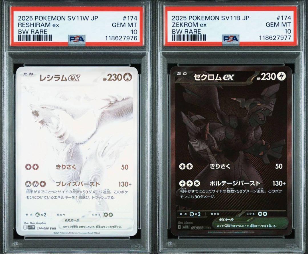 ポケモンカード ゼクロム レシラム BWR 連番 PSA10