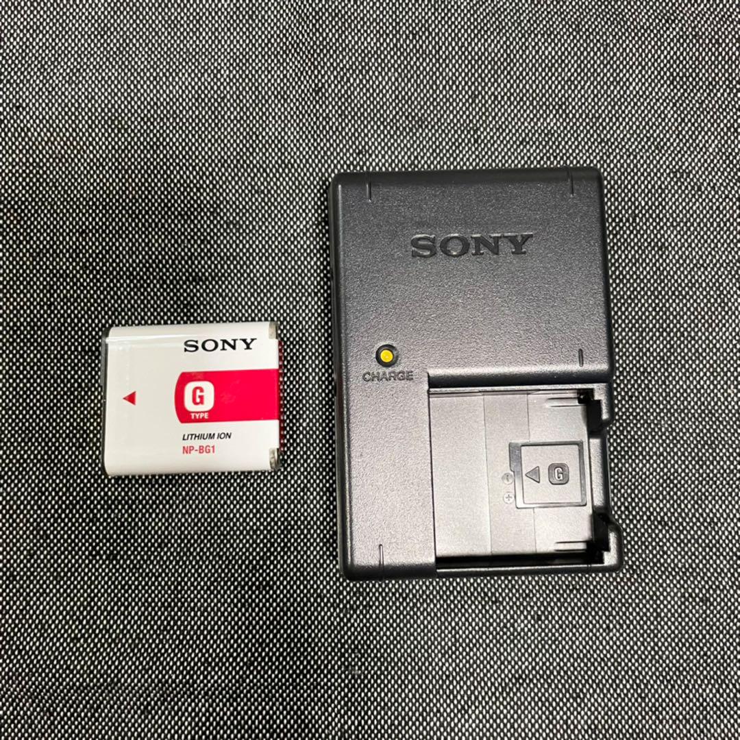 SONY ソニー Cyber-shot DSC-W170 デジタルスチルカメラ
