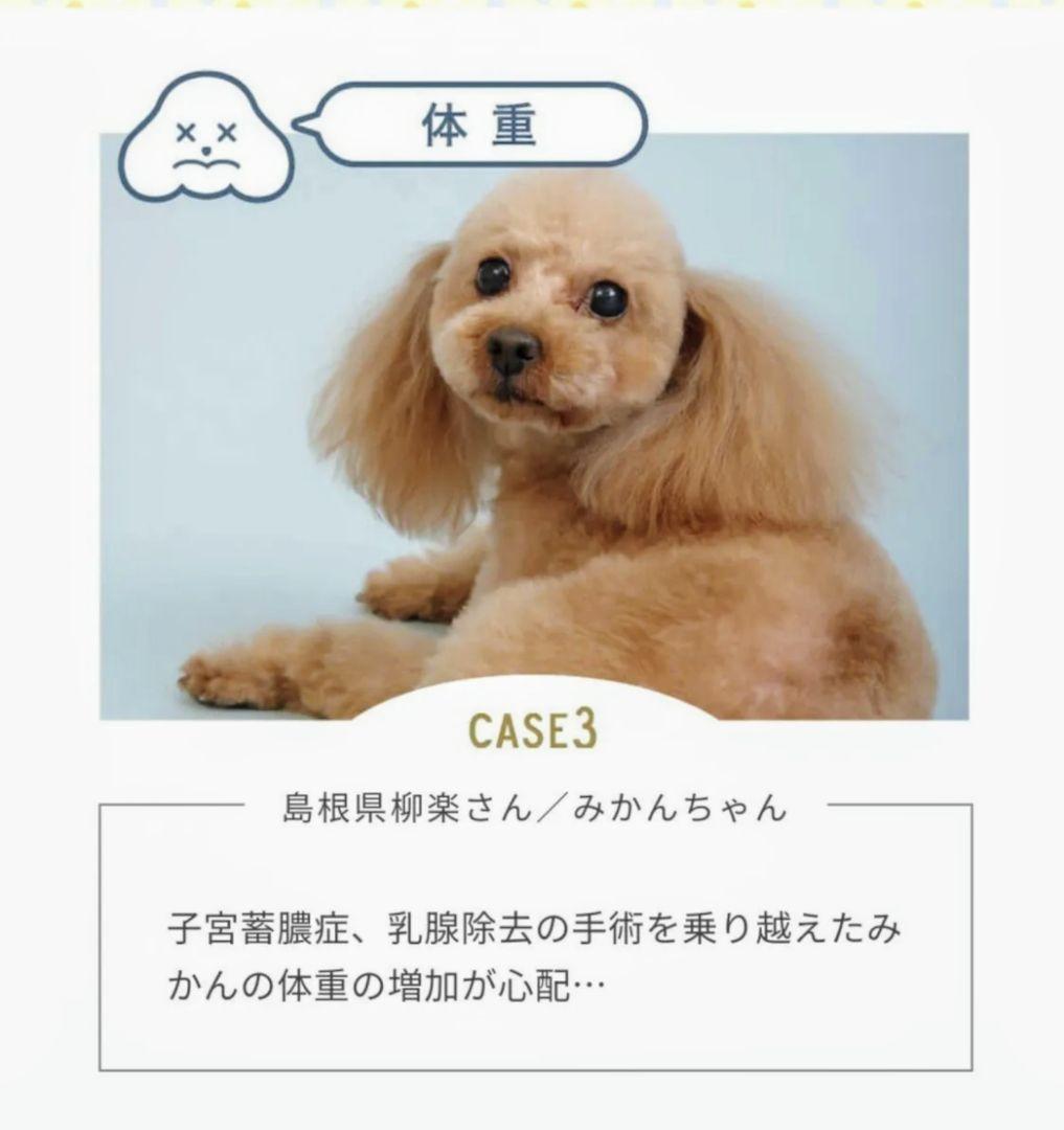 『新品・未開封品』ワンフー パピー&アスリート 4kg 20袋 『涙やけ・体重』