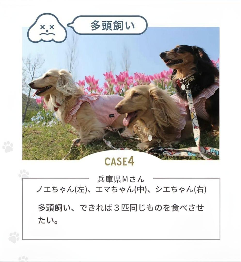 『新品・未開封品』ワンフー パピー&アスリート 4kg 20袋 『涙やけ・体重』