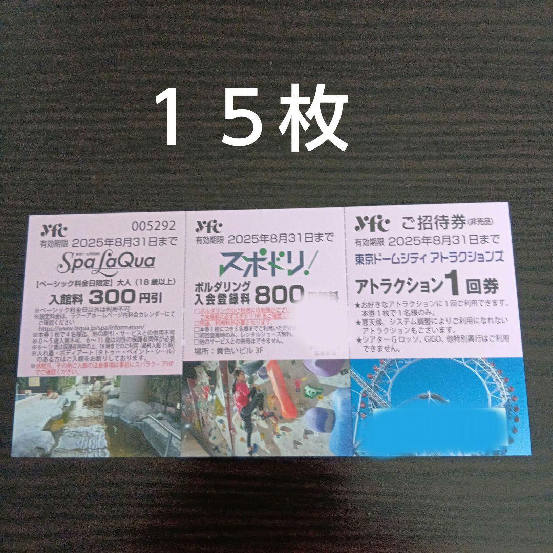 東京ドームシティアトラクションズ乗り物券15枚 8月31日まで