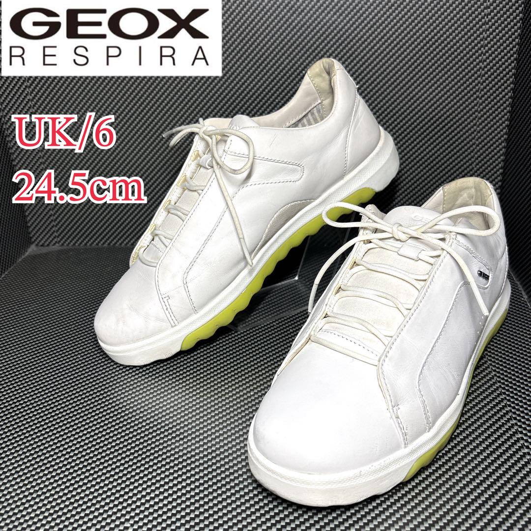 GEOX ジェオックス レザー ローカット スニーカー US6/24.5cm