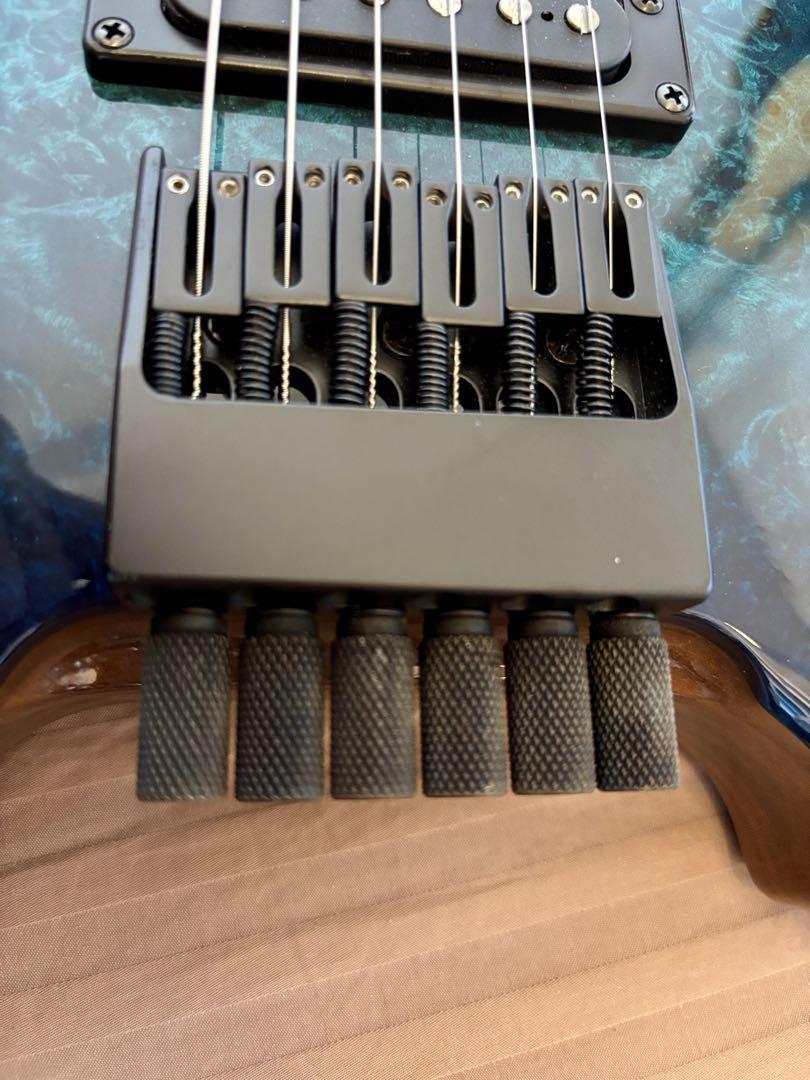 ギター Kiesel Allan Holdsworth Signature HH2