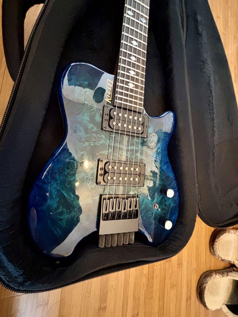 ギター Kiesel Allan Holdsworth Signature HH2