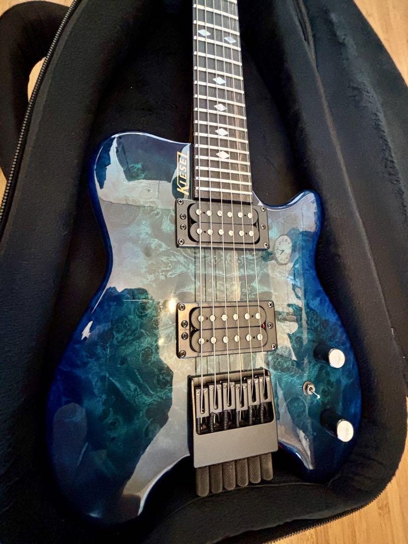 ギター Kiesel Allan Holdsworth Signature HH2