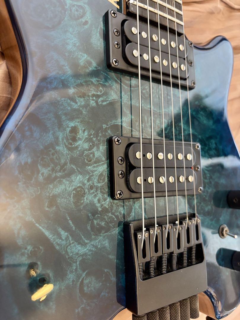 ギター Kiesel Allan Holdsworth Signature HH2