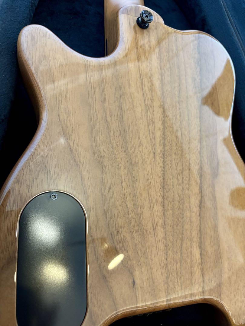 ギター Kiesel Allan Holdsworth Signature HH2