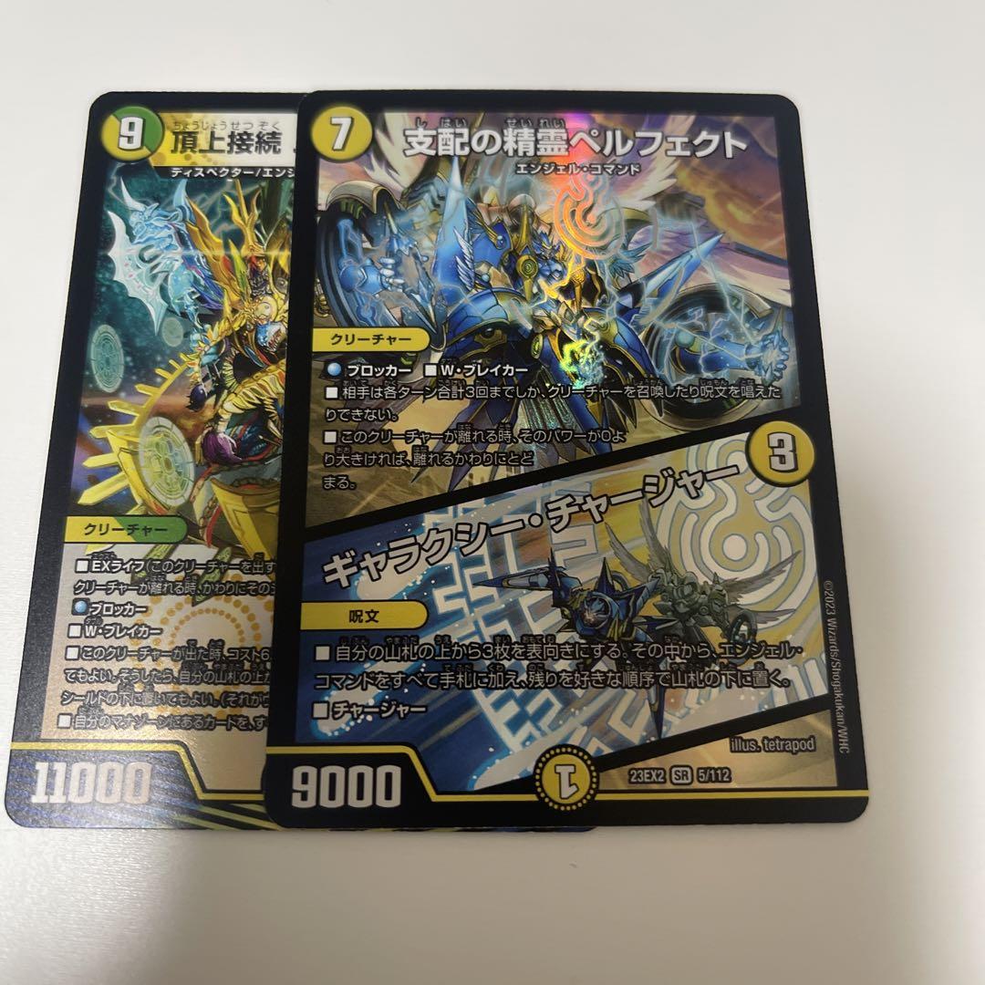 ヴァイスシュヴァルツ　PSA10 若葉ヒナタ　SP ヴァイスシュヴァルツ ブルーアーカイブ 若葉ヒナタ sp サイン