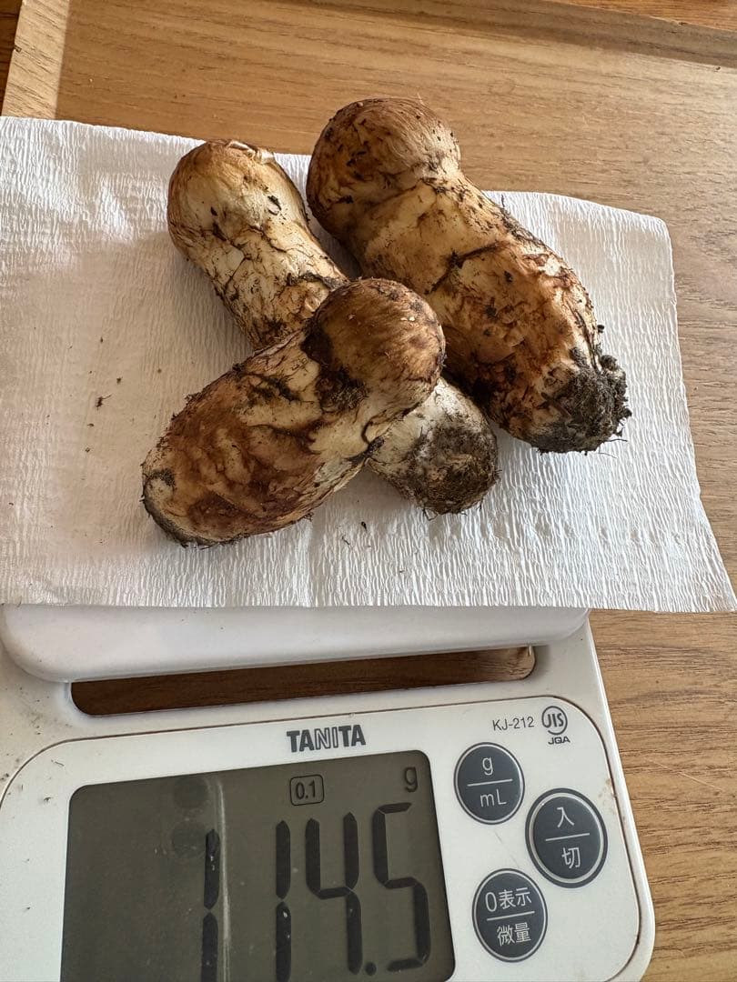 北海道産　朝どれ松茸　114g 3本！