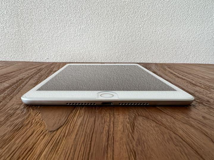 Apple iPad mini5 64GB Wi-Fi シルバー おまけ - メルカリ