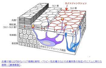 即納最安値 PATRA化粧品 業務用500g パック 2tEwB-m54747896059 アミノパック 大特価特価