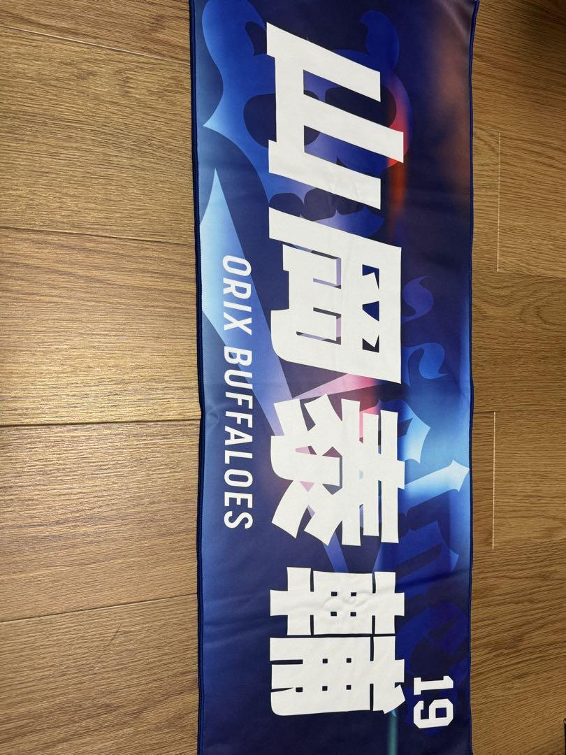 オリックス・バファローズ 山岡泰輔