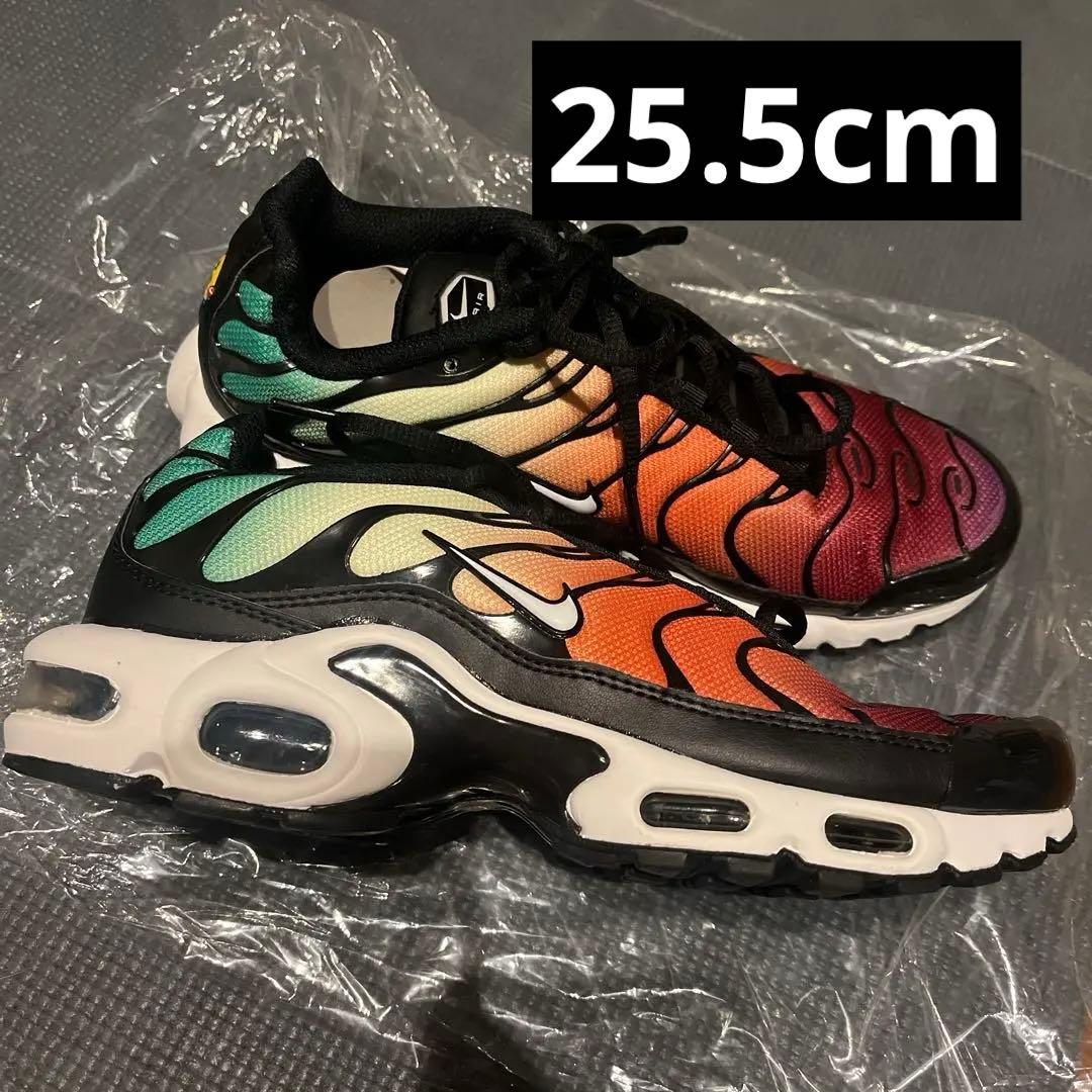 NIKE air max plus Tn Air スニーカー　マルチカラー