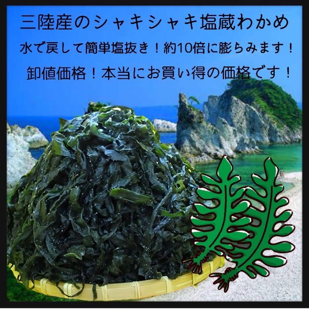 産直【大容量お買い得】塩蔵わかめ 400g×10袋 4kg 三陸産 わかめ