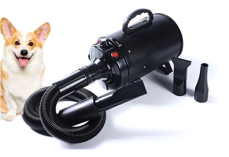 楽天市場】ペットドライヤー 犬用 大型犬 ブロワー 業務用 温風