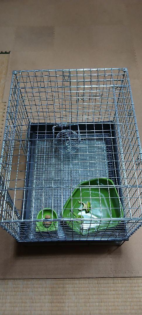 ウサギ、小動物用ゲージ(中古品)