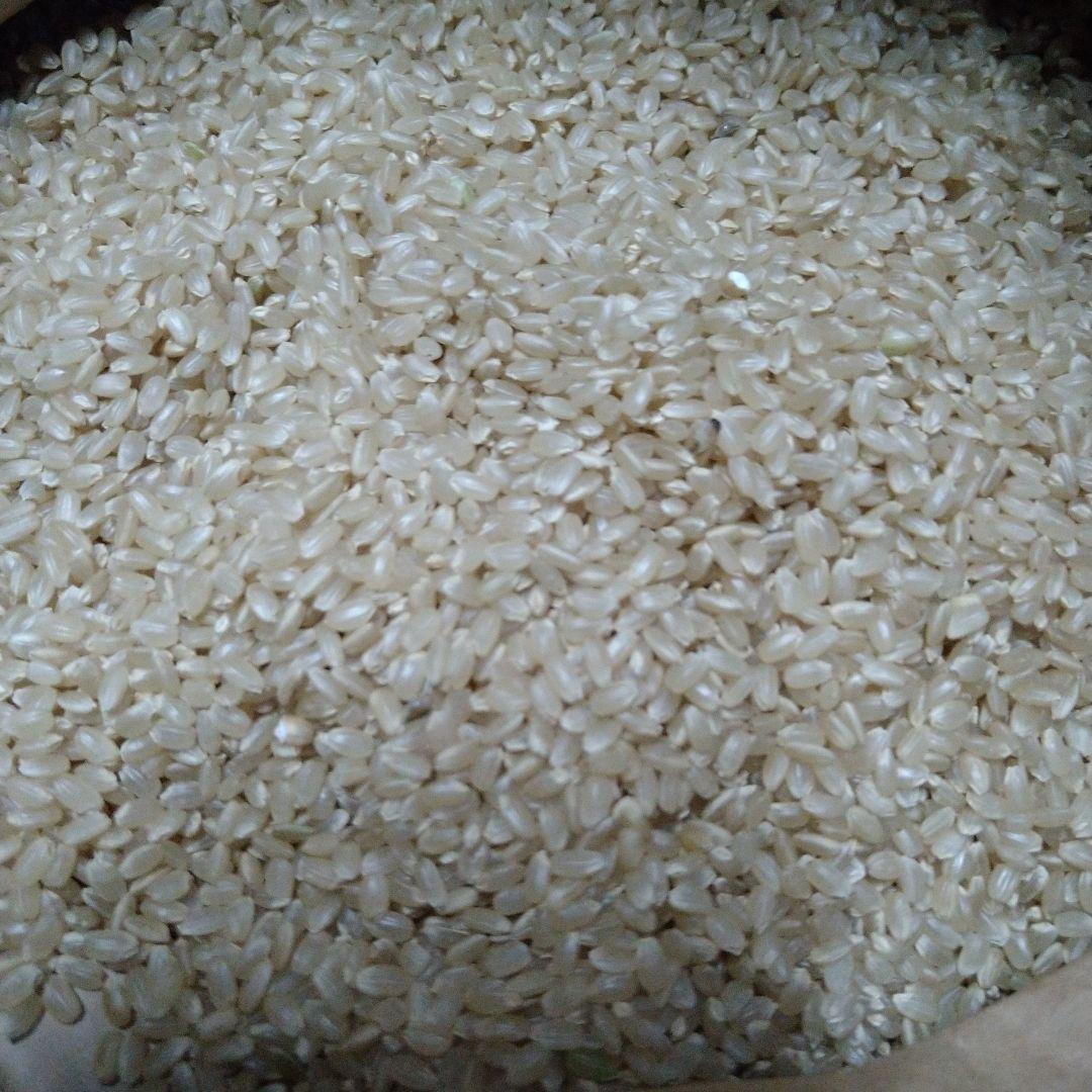 令和6年産　ヒノヒカリ　玄米20kg