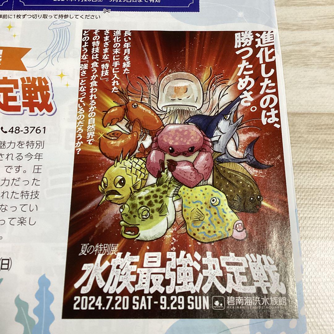 ピクシーハープ 頷ける 19弦