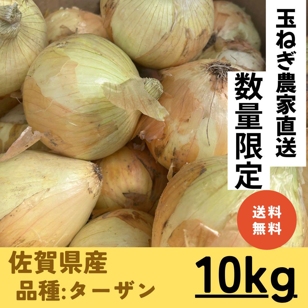 玉ねぎ　佐賀県産　ターザン　10キロ　農家直送