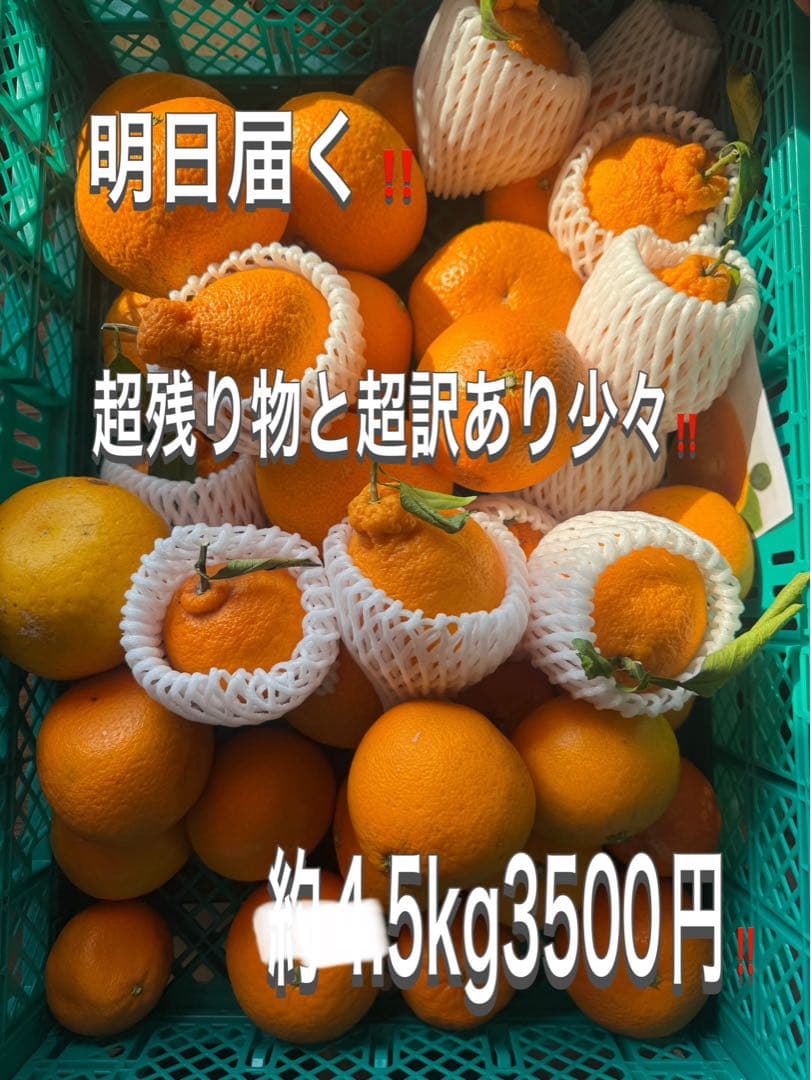 久々にきたーー‼️2箱限定‼️明日届く残り物と超訳あり少々！約5kg3500円‼️