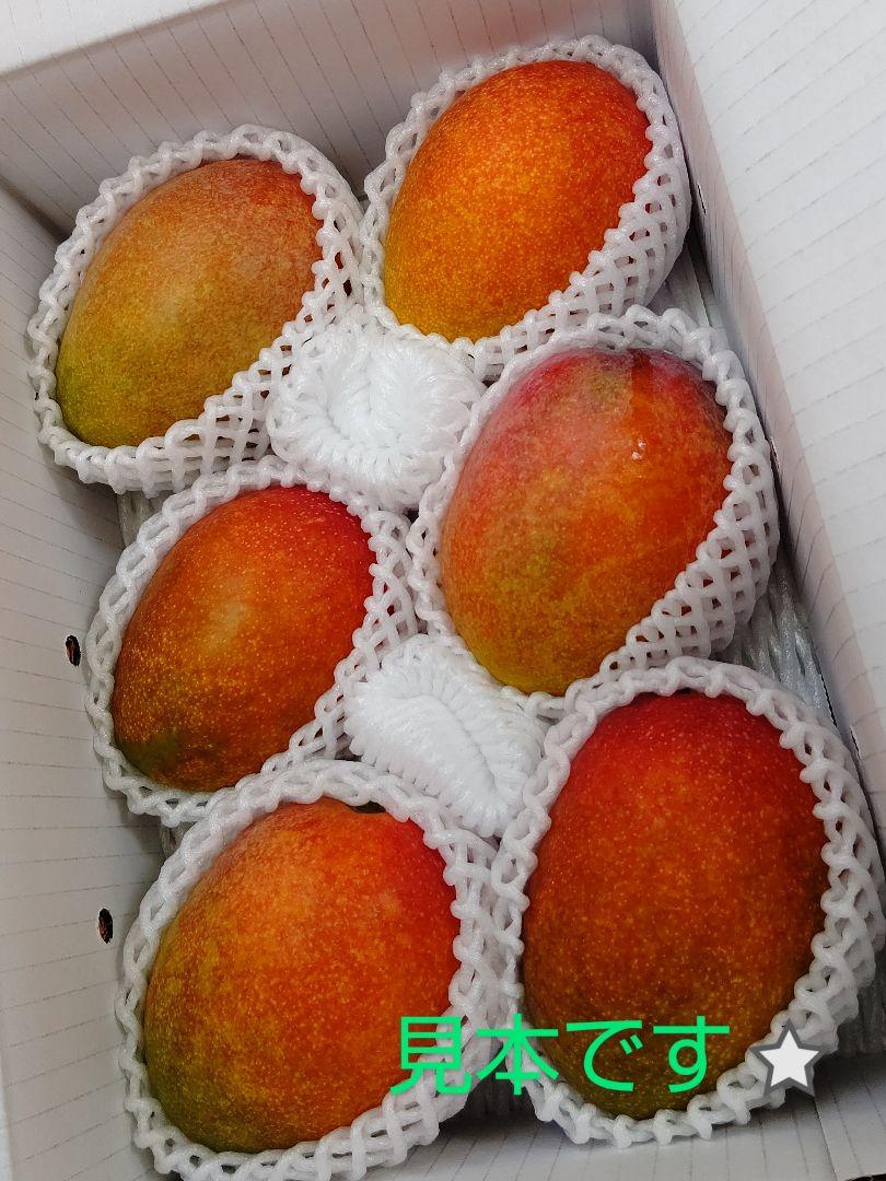 無農薬　沖縄県産マンゴー　4kg 楽天市場】”沖縄産 完熟マンゴー” 秀品 特大玉4L 2玉 化粧箱