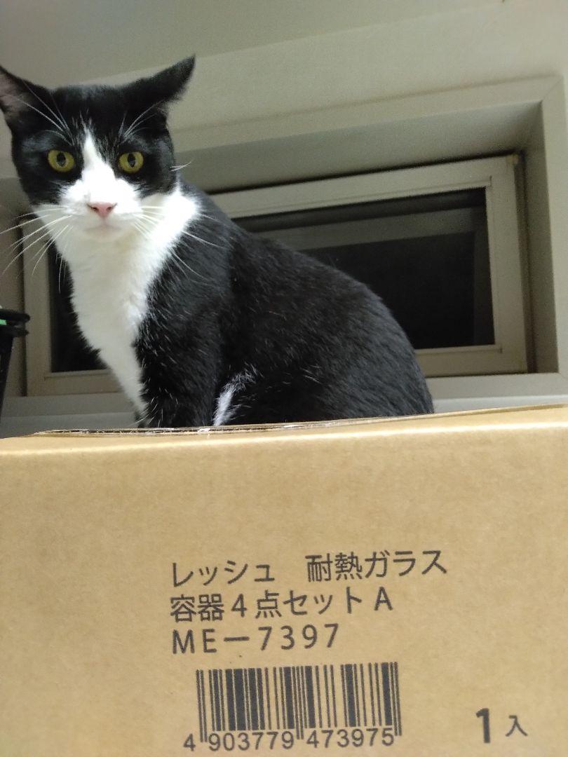 未開封。レンジ使用可能