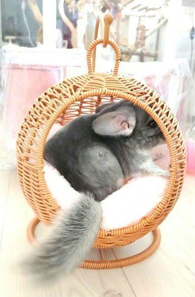 新品 チンチラ ハンキング ベッド ハウス モモンガ 小動物 子犬 ハンモッグ