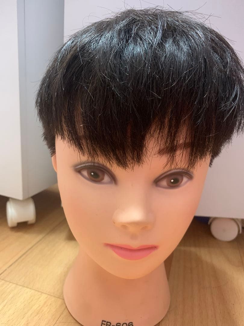 憧れの カットウィッグ6体 使用済み lifetabupc.com