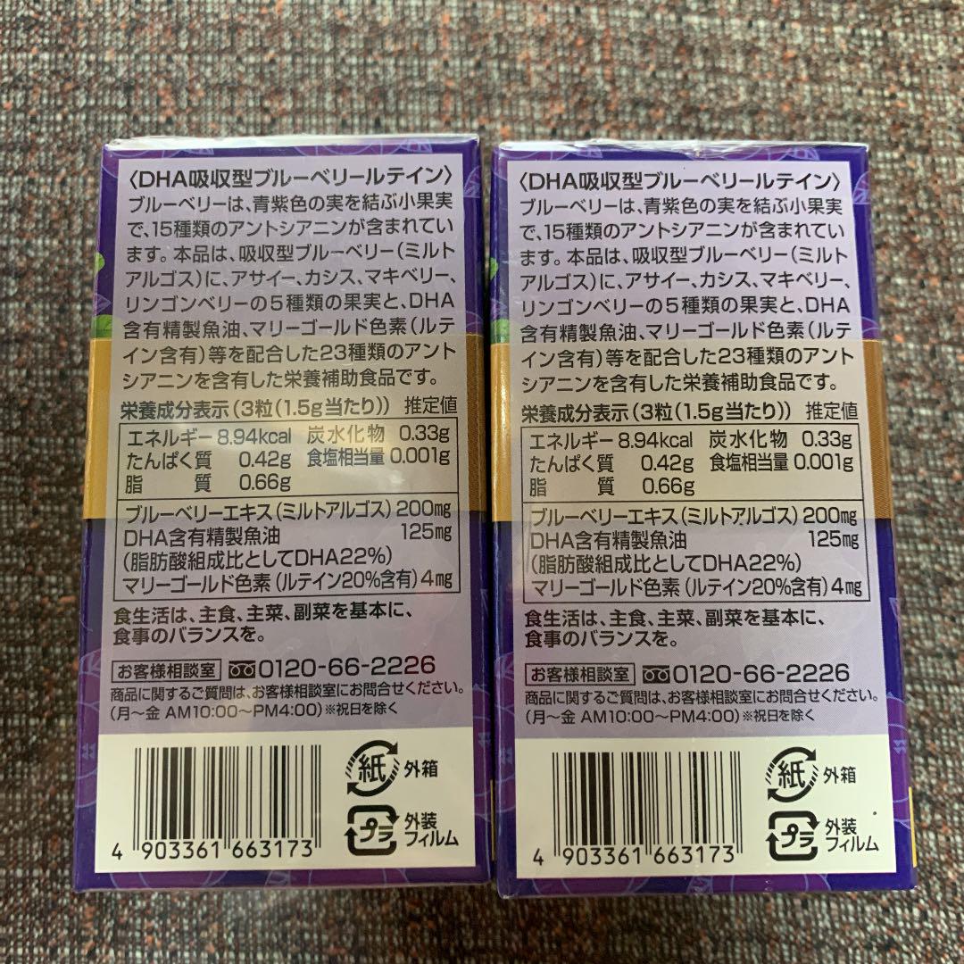 DHA 吸収型ブルーベリー 500mg×90粒 ルテイン 爆売りセール開催中 ルテイン DHA 吸収型ブルーベリー 500mg×90粒 ルテイン 爆売りセール開催中 ルテイン