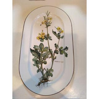 植物イラストの陶器おしぼりトレイ