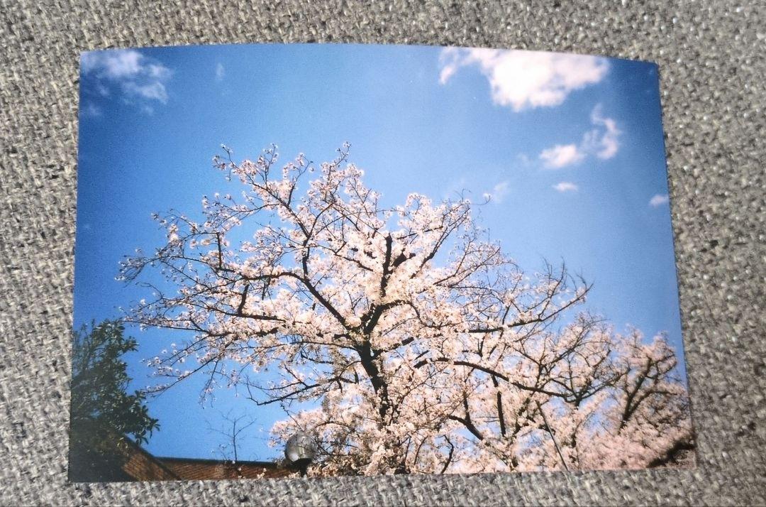 RICOH　GR1s リコー　フィルムカメラ　動作確認済