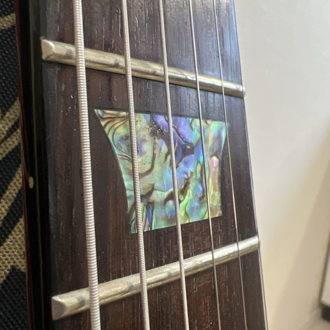 ギター EPIPHONE Tak DC Standard Plustop Cherry
