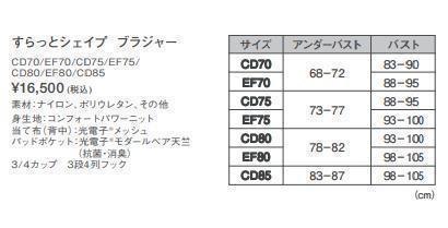 ⭐SALE⭐ビーフィット Be-fit すらっとシェイプ ブラ＋ショーツ 光電子