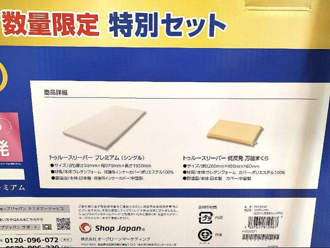 【新品2点＋カバー付】トゥルースリーパー プレミアム 5cm 低反発万能まくら