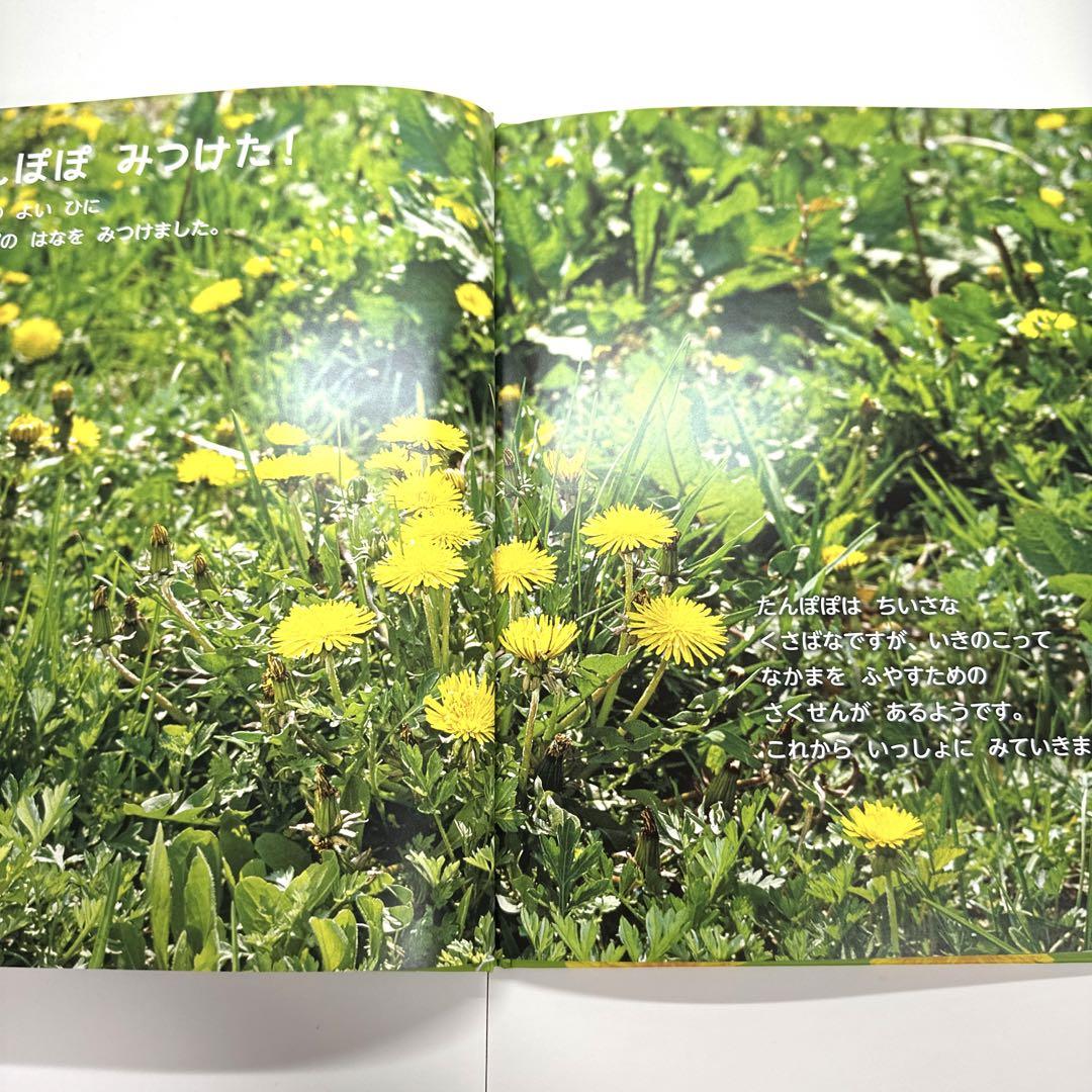 2点購入150円引】キンダーブック しぜん たんぽぽ『2021年4月号
