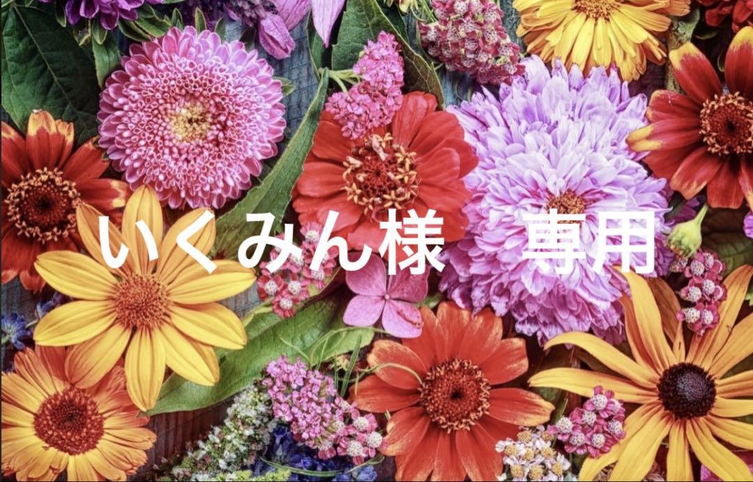 いくみん