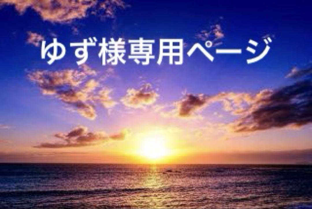 NARWAL Freo X Plus アクセサリーパック美品☆コメントにて送料込