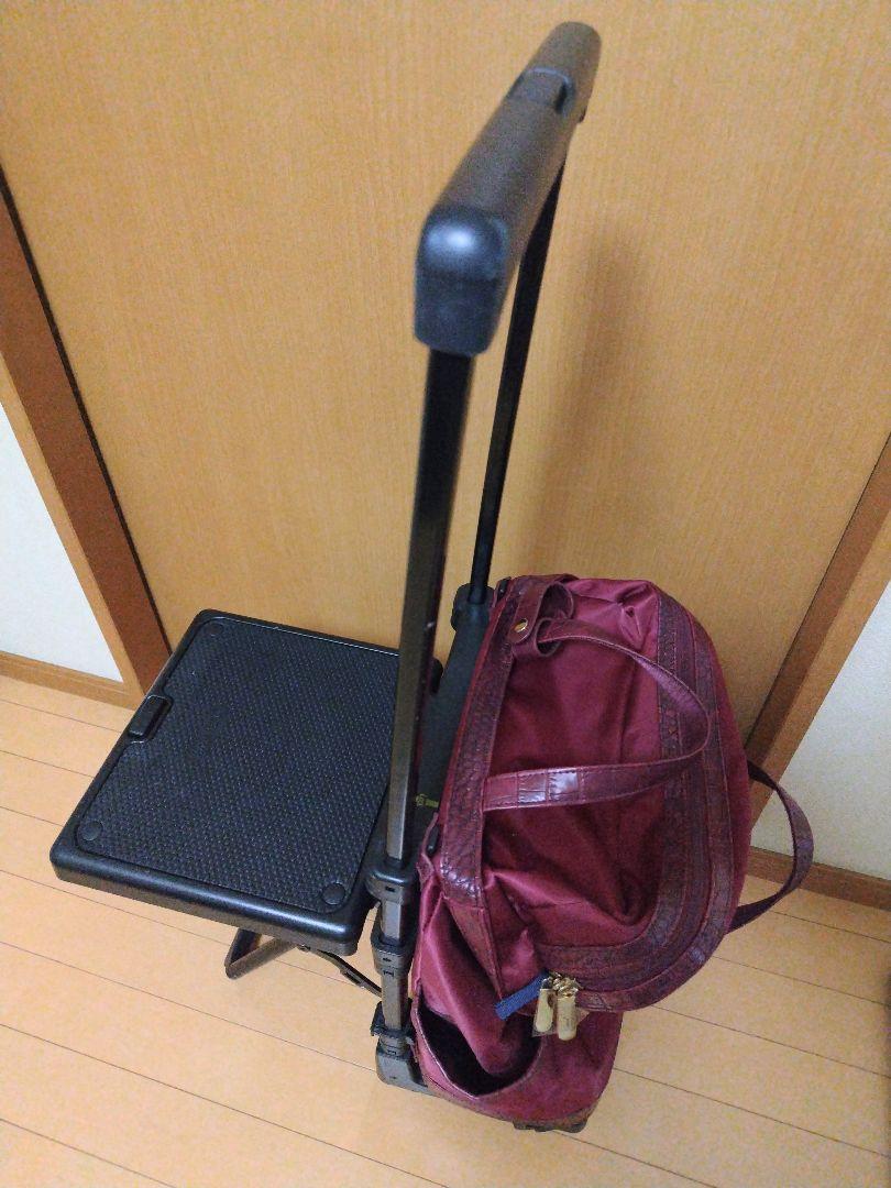 専用　スワニー座面付きキャリーバッグ