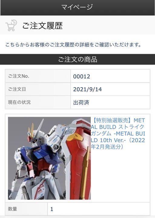 15640円 【SALE/87%OFF】 METAL BUILD ストライクガンダム -METAL 10th