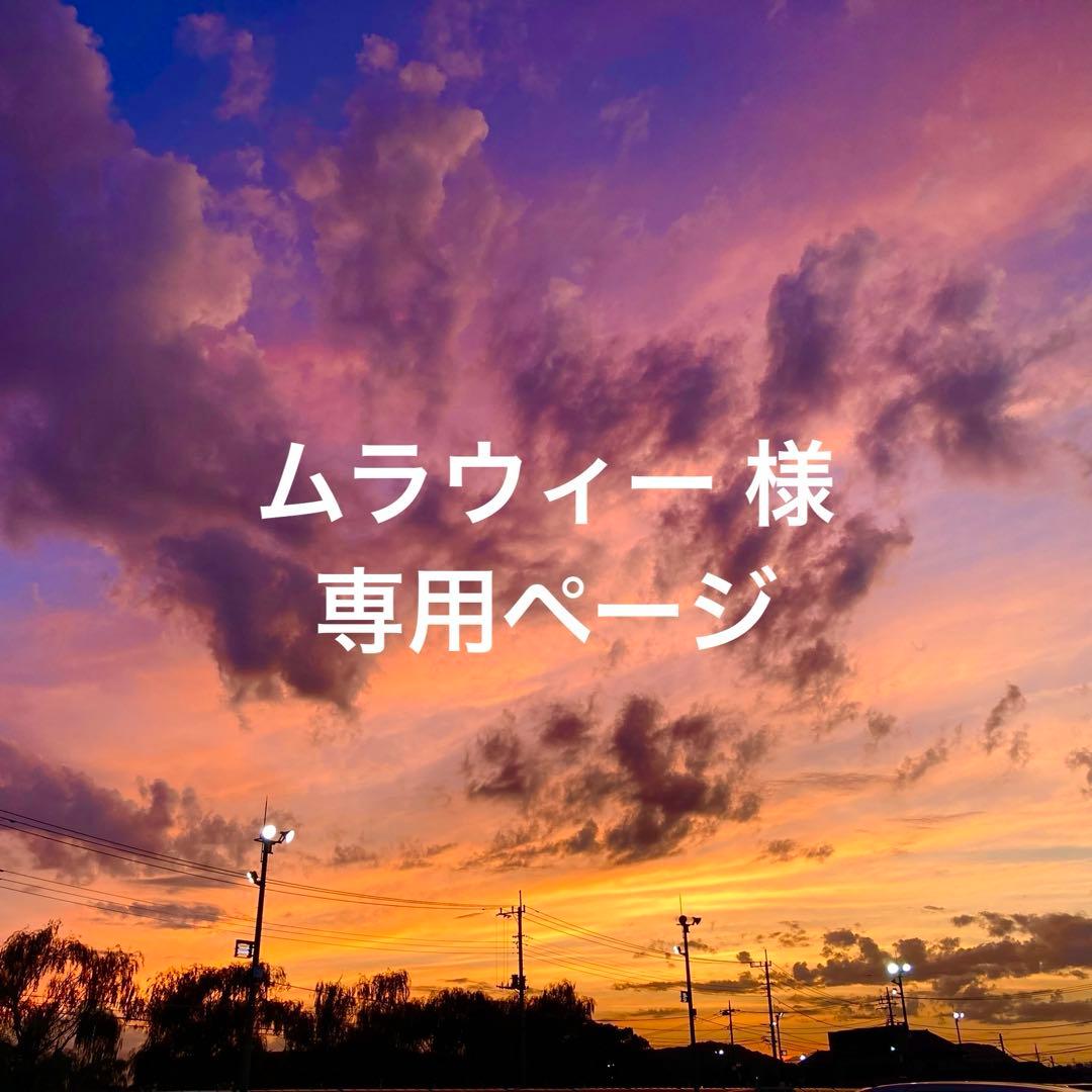 手染めソックヤーン 手染め毛糸 115 116