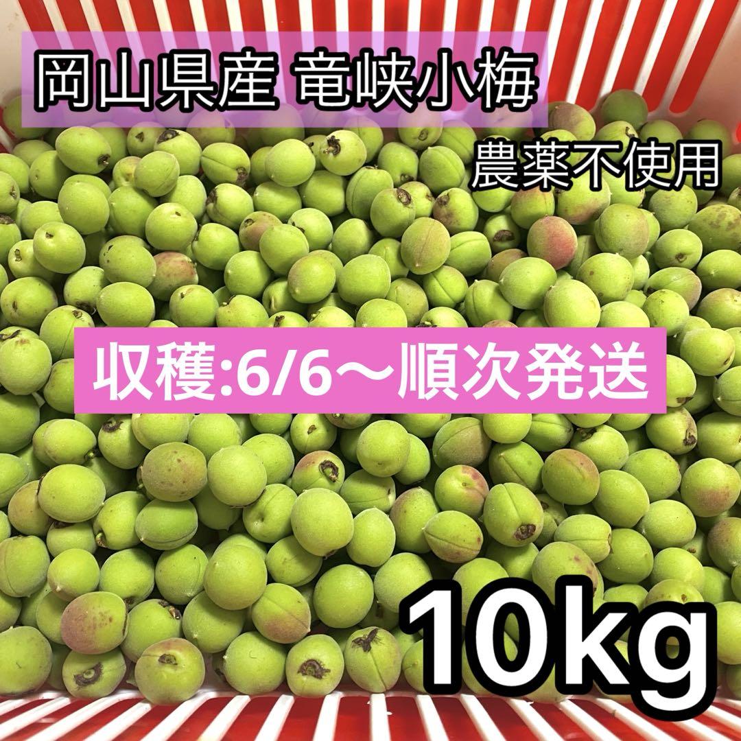 ⭐︎yoshi⭐︎さま専用　竜峡小梅 青梅 10kg 無農薬 岡山県産 農家直送 竜峡小梅 青梅 10kg 無農薬 岡山県産 農家直送 果物